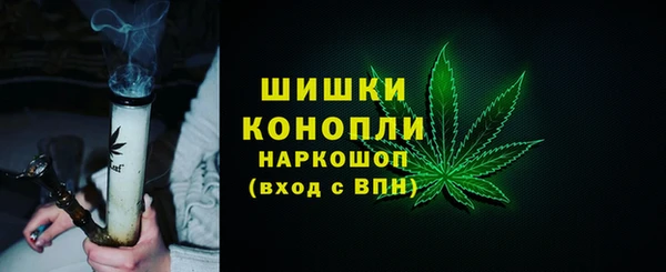 PSILOCYBIN Козловка