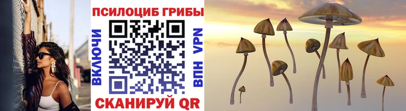 omg ссылки  Кола  Псилоцибиновые грибы Cubensis 